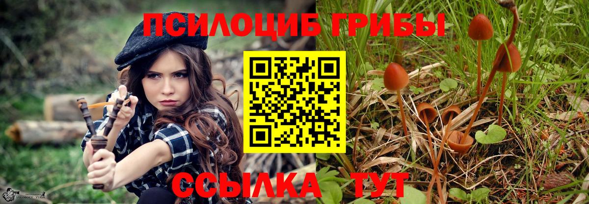 Дербент  Галлюциногенные грибы мухоморы  Вход с VPN 