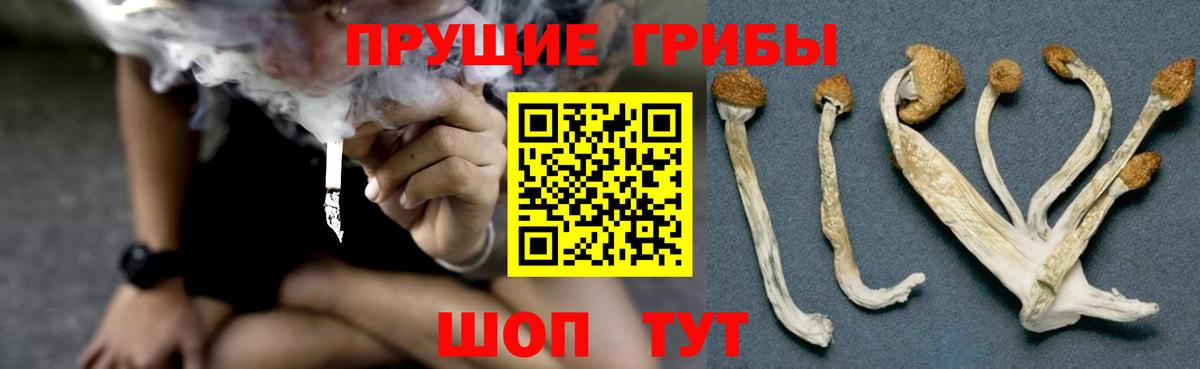 ГАШИШ Дербент